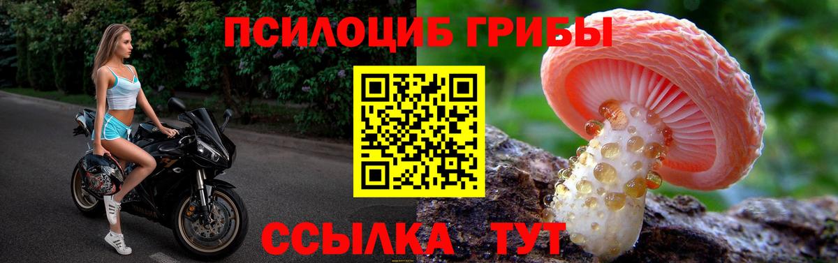 Псилоцибиновые грибы мухоморы Махачкала