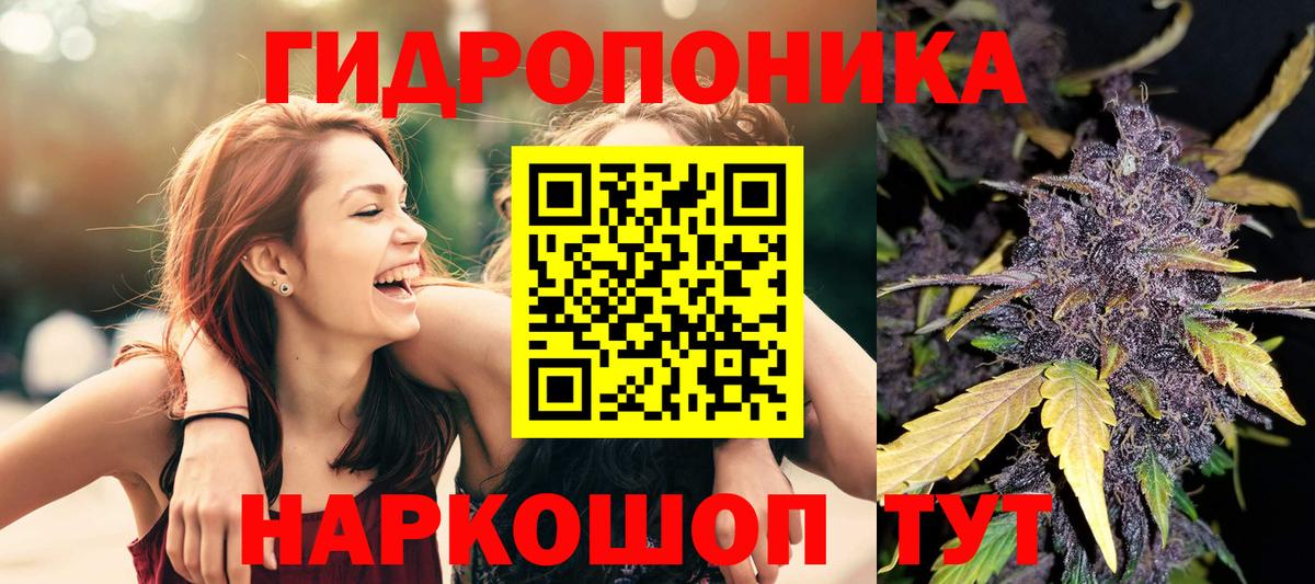 Шишки марихуана White Widow  Бошки марихуана OG Kush  Махачкала  Шишки марихуана индика  Вход с VPN 